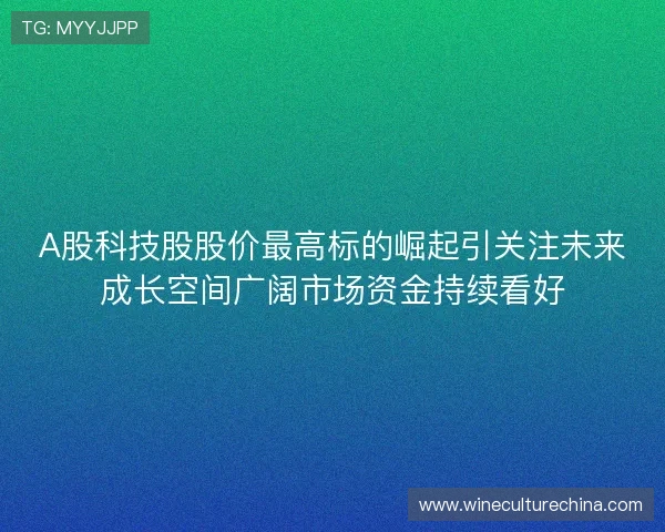 A股科技股股价最高标的崛起引关注未来成长空间广阔市场资金持续看好