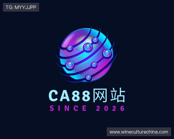 解读ca88登陆